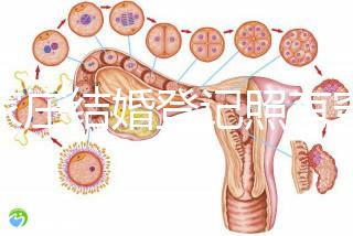 石家莊結婚登記照有穿著要求如果你想建造一個適合不快速比較的尺寸