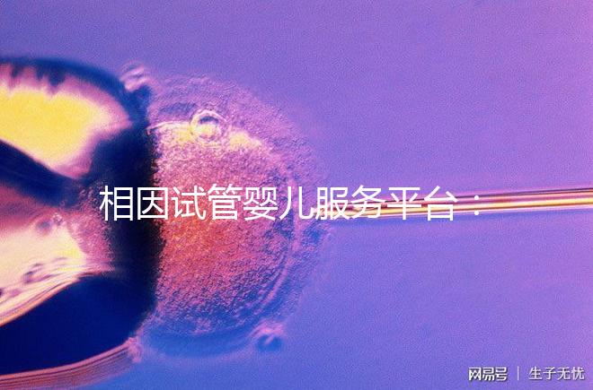 相因試管嬰兒服務平臺：讓每個人都有做父母的權利