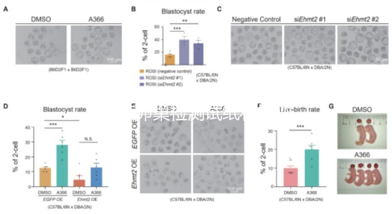 盤點(diǎn)卵巢檢測試紙和排卵試紙的區(qū)別，哪個更準(zhǔn)確