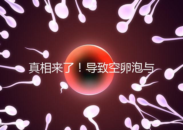 真相來了！導(dǎo)致空卵泡與多囊卵巢有關(guān)，區(qū)別在于以下四點(diǎn)，多研究