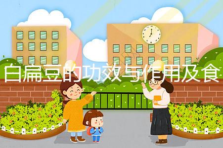 白扁豆的功效與作用及食用方法（白扁豆治什么病最好）