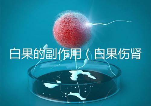 白果的副作用（白果傷腎還是補腎）