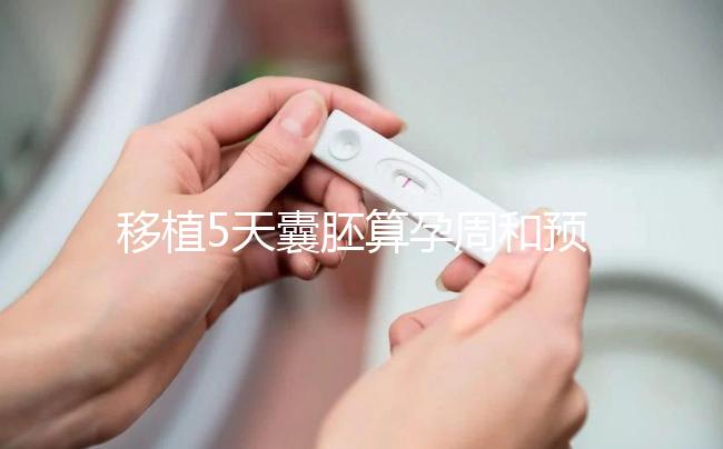 移植5天囊胚算孕周和預產期有訣竅，專家：用這2種方法