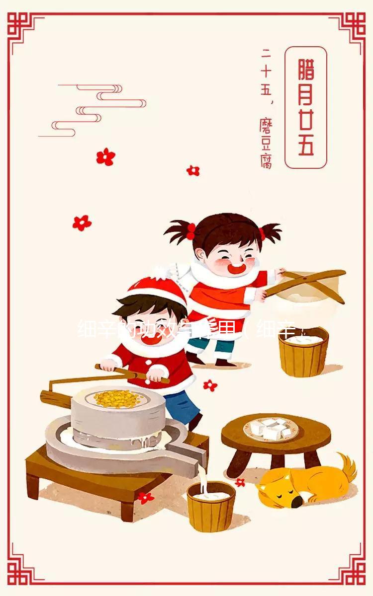 細辛的功效與作用（細辛去哪里的寒氣）