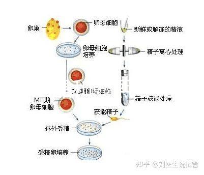 十月結晶和曼熙嬰兒浴盆誰好還不造,怎么換電池這篇文章說清楚