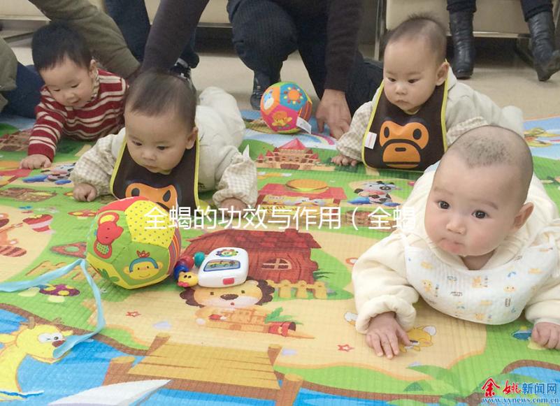 全蝎的功效與作用(全蝎治什么病最好最快)