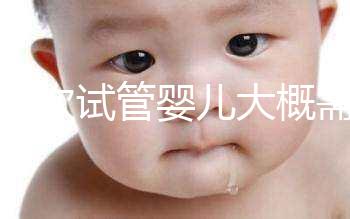 做一次試管嬰兒大概需要多少錢