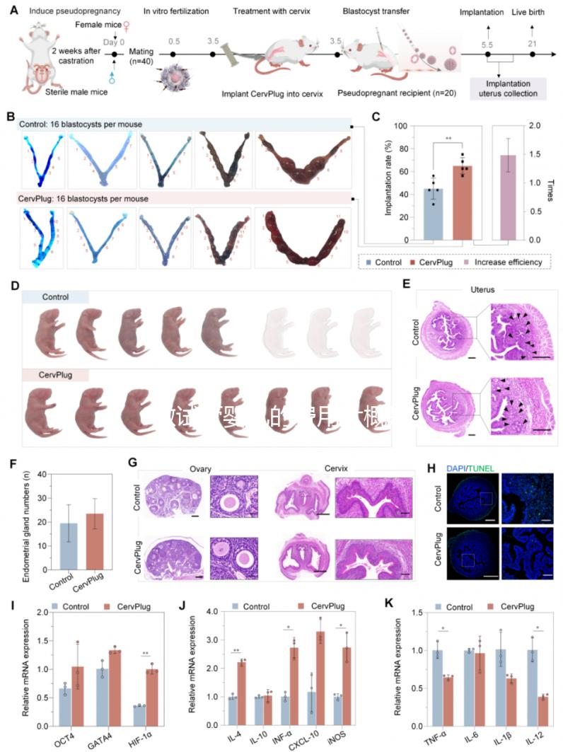 做試管嬰兒的費用大概是多少錢？