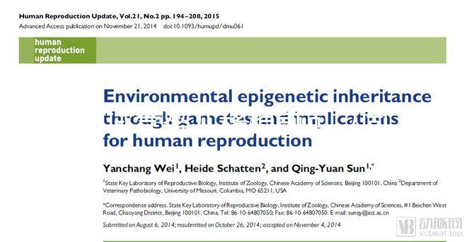 做試管嬰兒移植前可以同房嗎？