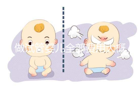做試管嬰兒全部費用大概是多少(做試管嬰兒全部費用大概是多少錢)