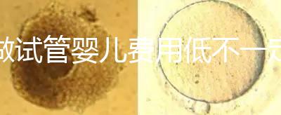 做試管嬰兒費(fèi)用低不一定好!在江蘇只有29家醫(yī)院有資質(zhì)