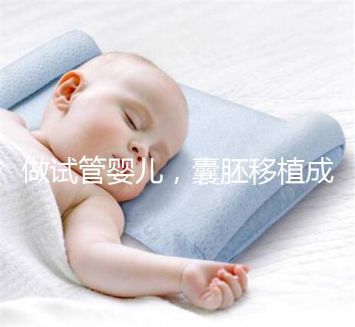 做試管嬰兒，囊胚移植成功懷孕的幾率更高？