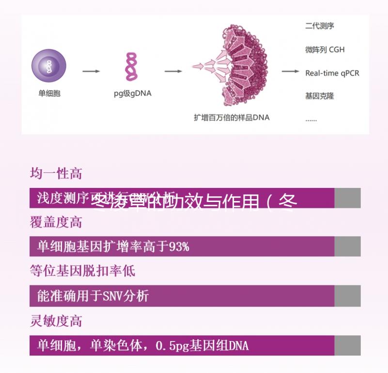 冬凌草的功效與作用（冬凌草的功效與作用的功能與主治）