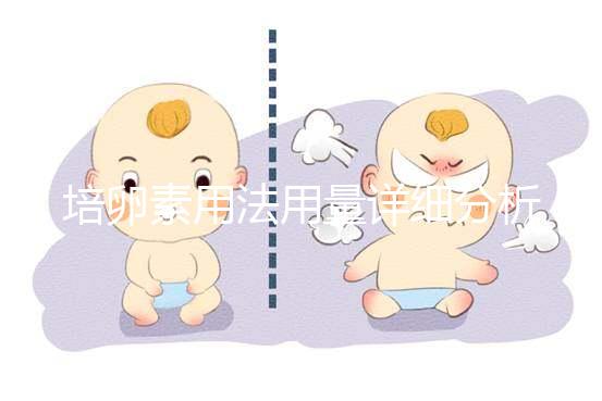 培卵素用法用量詳細(xì)分析，不同情況服用時(shí)間有差異