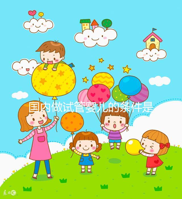 國內做試管嬰兒的條件是什么,有什么要求?