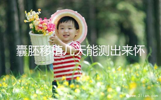 囊胚移植幾天能測出來懷孕？