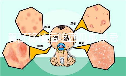 囊胚移植后吃西瓜成禁忌?這5大注意事項建議了解下