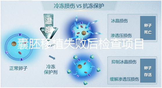 囊胚移植失敗后檢查項目，查免疫、內分泌必不可少