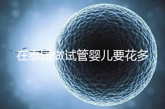 在泰國做試管嬰兒要花多少錢？一位助孕顧問的深夜坦白