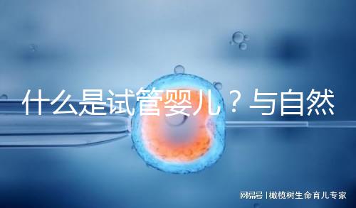 什么是試管嬰兒？與自然懷孕的小孩有區別嗎？一文告訴你！