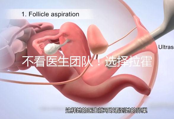 不看醫(yī)生團隊!選擇拉霍亞試管嬰兒中心的優(yōu)勢還有這些