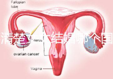 不清楚女女結婚哪個國家能領證來看,歐洲這些地區(qū)都可