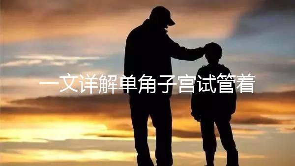 一文詳解單角子宮試管著床困不困難，失敗或和這幾點有關