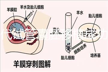 三代試管囊胚移植成功率高嗎