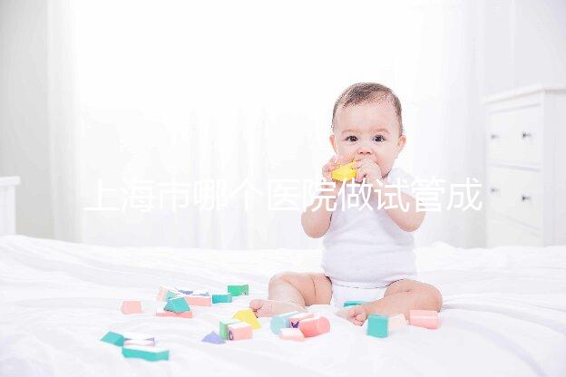 上海市哪個醫院做試管成功率高最好的？