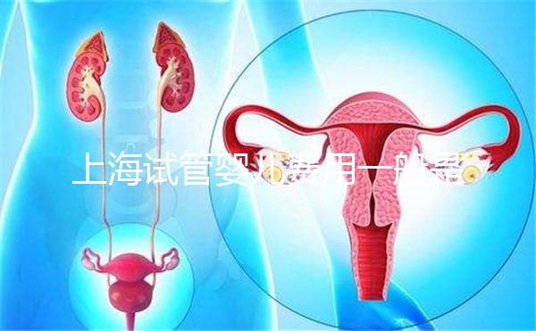 上海試管嬰兒費(fèi)用一般是多少？2025年費(fèi)用明細(xì)全解析、各技術(shù)方案價(jià)格對(duì)比與科學(xué)省錢(qián)全指南