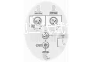 中國正規三代試管嬰兒機構名單，2025生殖機構排名參考
