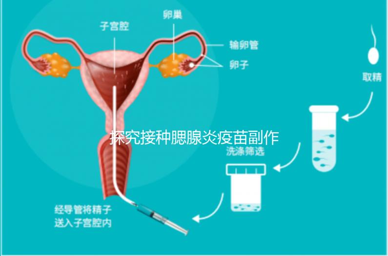 探究接種腮腺炎疫苗副作用，出現發燒用這3招應對自如