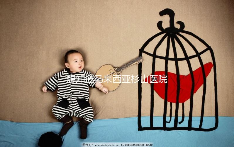 想知道馬來西亞杉山醫(yī)院試管嬰兒治療費(fèi)用清單嗎？看這里