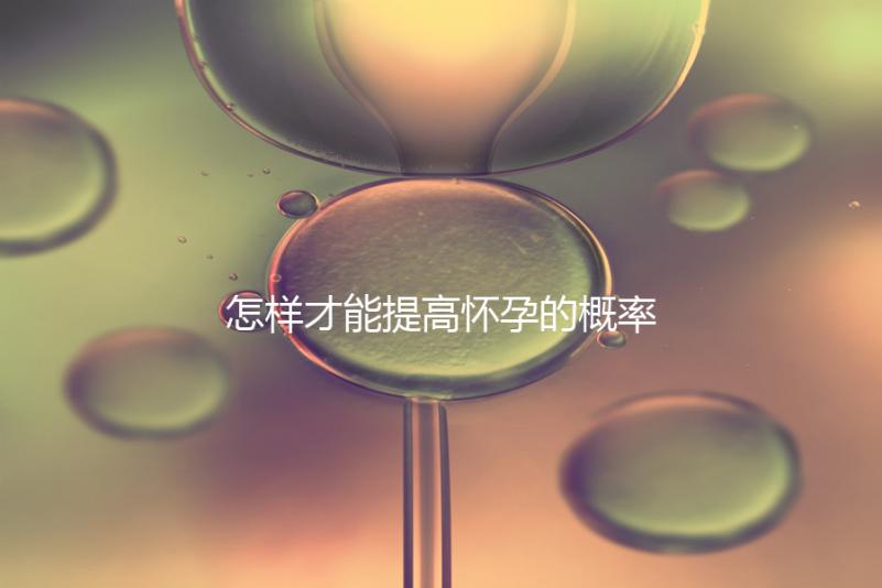 怎樣才能提高懷孕的概率？