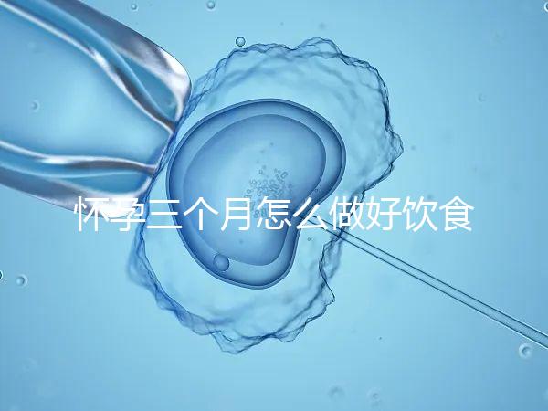 懷孕三個月怎么做好飲食安排?
