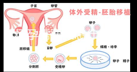 懷孕需要注意什么？