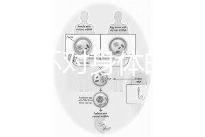 揭秘上環對身體的5大壞處，女人別再無知了