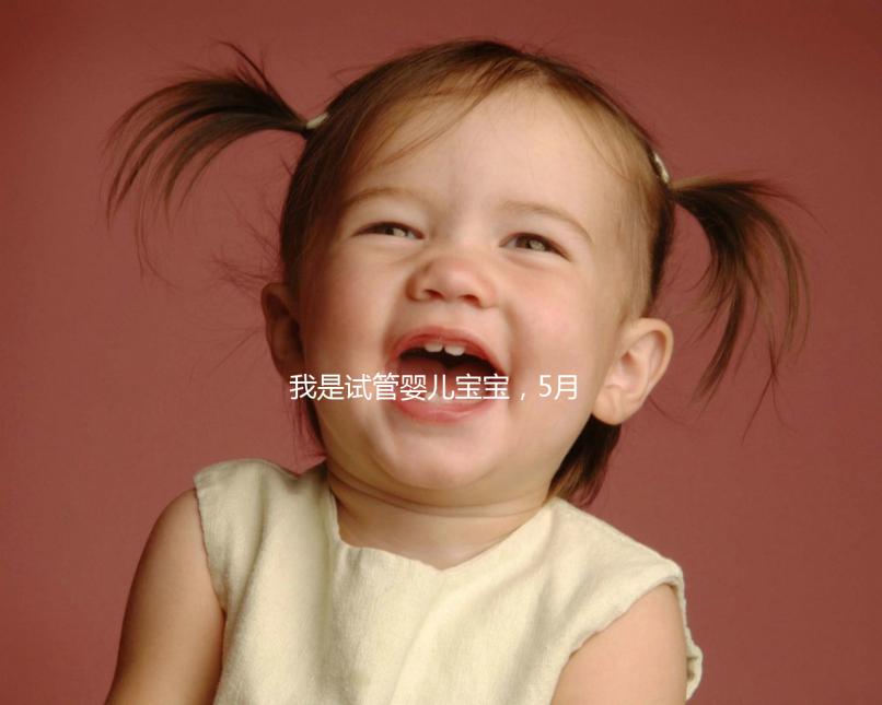 我是試管嬰兒寶寶,5月15號(hào)移植的囊胚,預(yù)產(chǎn)期是怎么算的 。。?