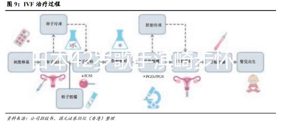 日本42歲歌手濱崎步懷二胎，孩子父親身份引猜測
