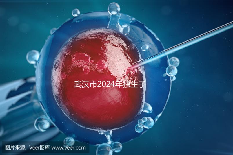 武漢市2024年獨生子女補貼政策已經(jīng)實施，領(lǐng)取流程更加規(guī)范