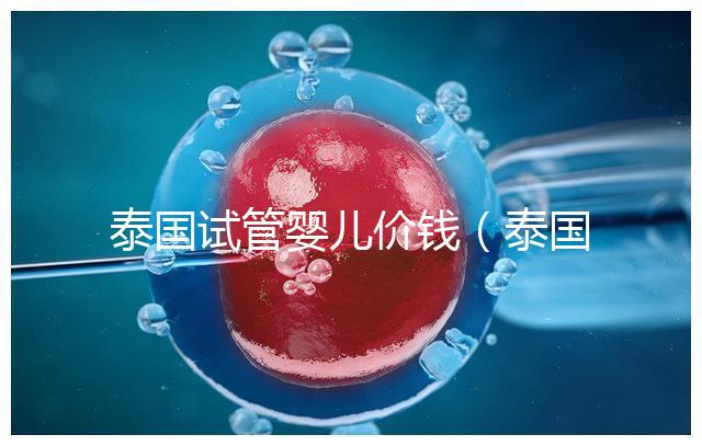 泰國試管嬰兒價(jià)錢(泰國試管嬰兒價(jià)錢是多少錢)