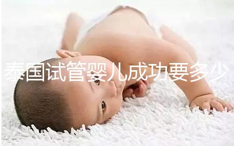 泰國試管嬰兒成功要多少錢？不成功怎么辦？