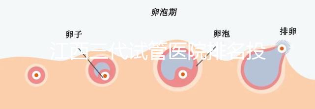 江西三代試管醫(yī)院排名投票截止！附前三位成功率和費(fèi)用詳解