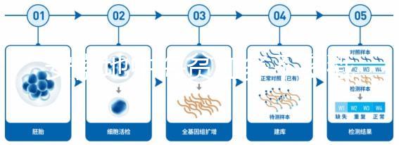 安徽地中海貧血多不多戳，合肥比例低也要早發現早治療