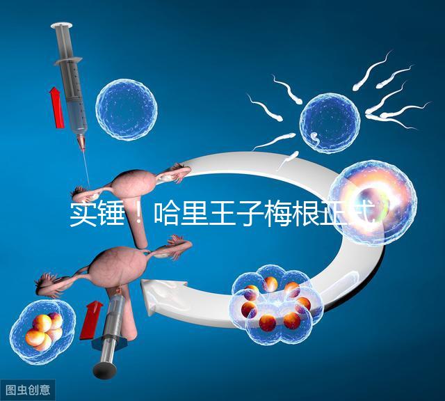 實(shí)錘！哈里王子梅根正式公布寶寶名字：阿爾奇·哈里森