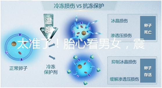 太準了！胎心看男女，震驚結果大于150就一定是女孩