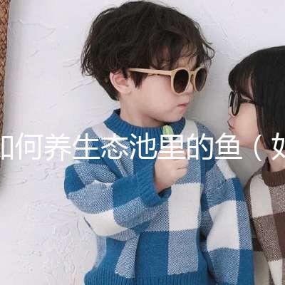如何養生態池里的魚（如何養生態池里的魚視頻）