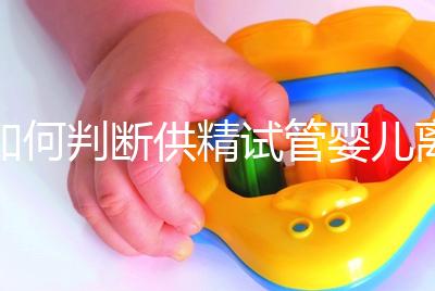 如何判斷供精試管嬰兒離婚，會不會一目了然地判給女方？