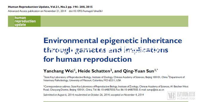 如何收取武漢同濟醫院的養囊費？查看最新試管費用明細估算？