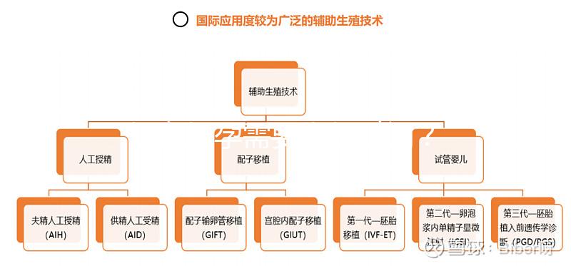 婦女懷孕需要多長時間?